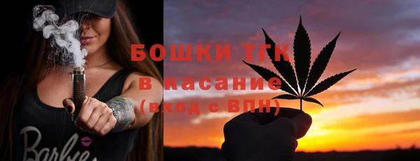 СК Бородино